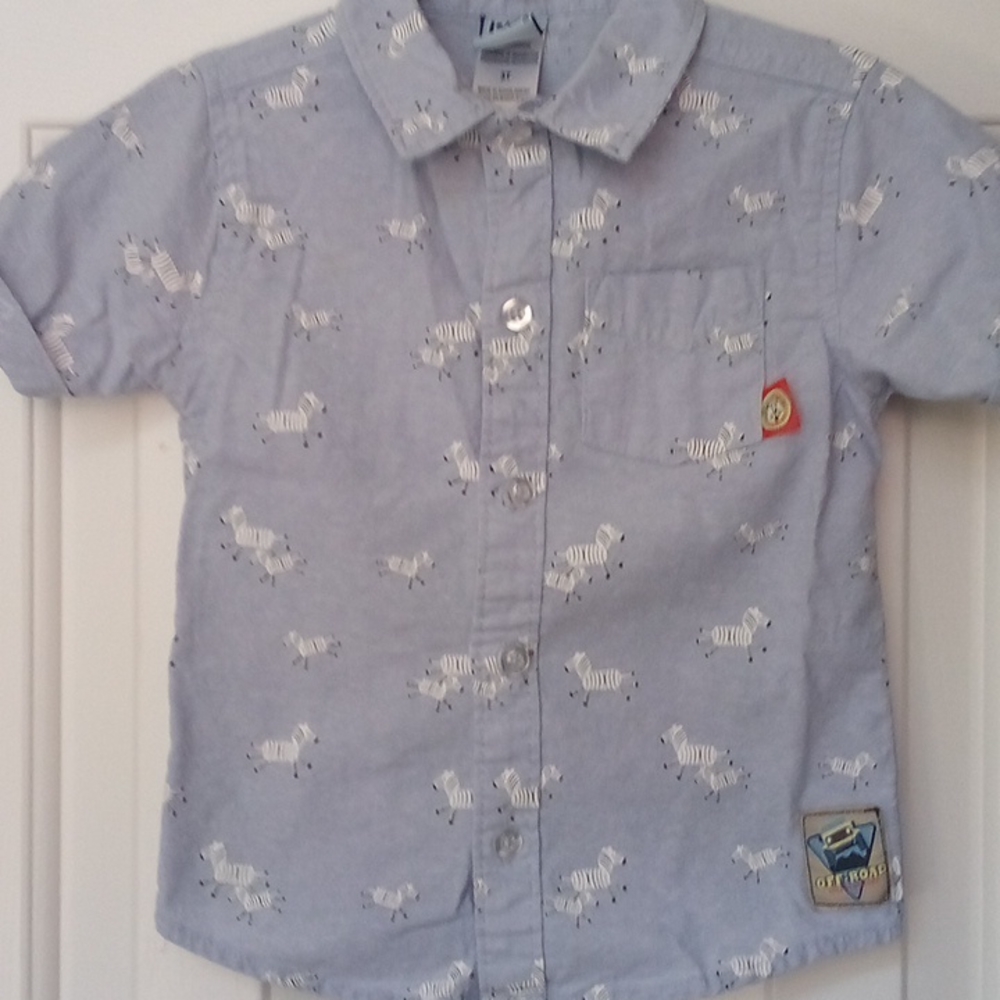 Chambray button down
